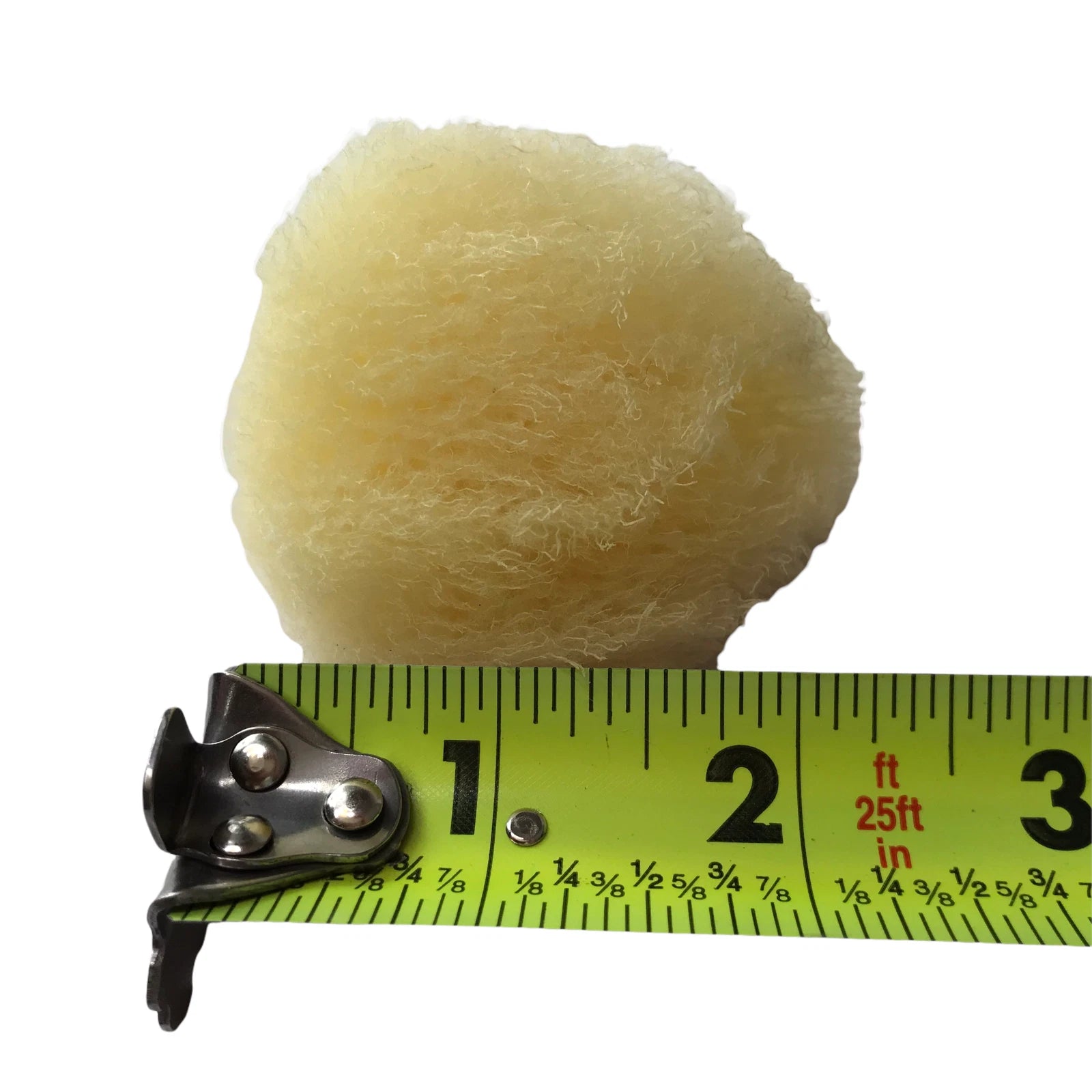 Baudelaire Silk Sea Sponge, New, Small