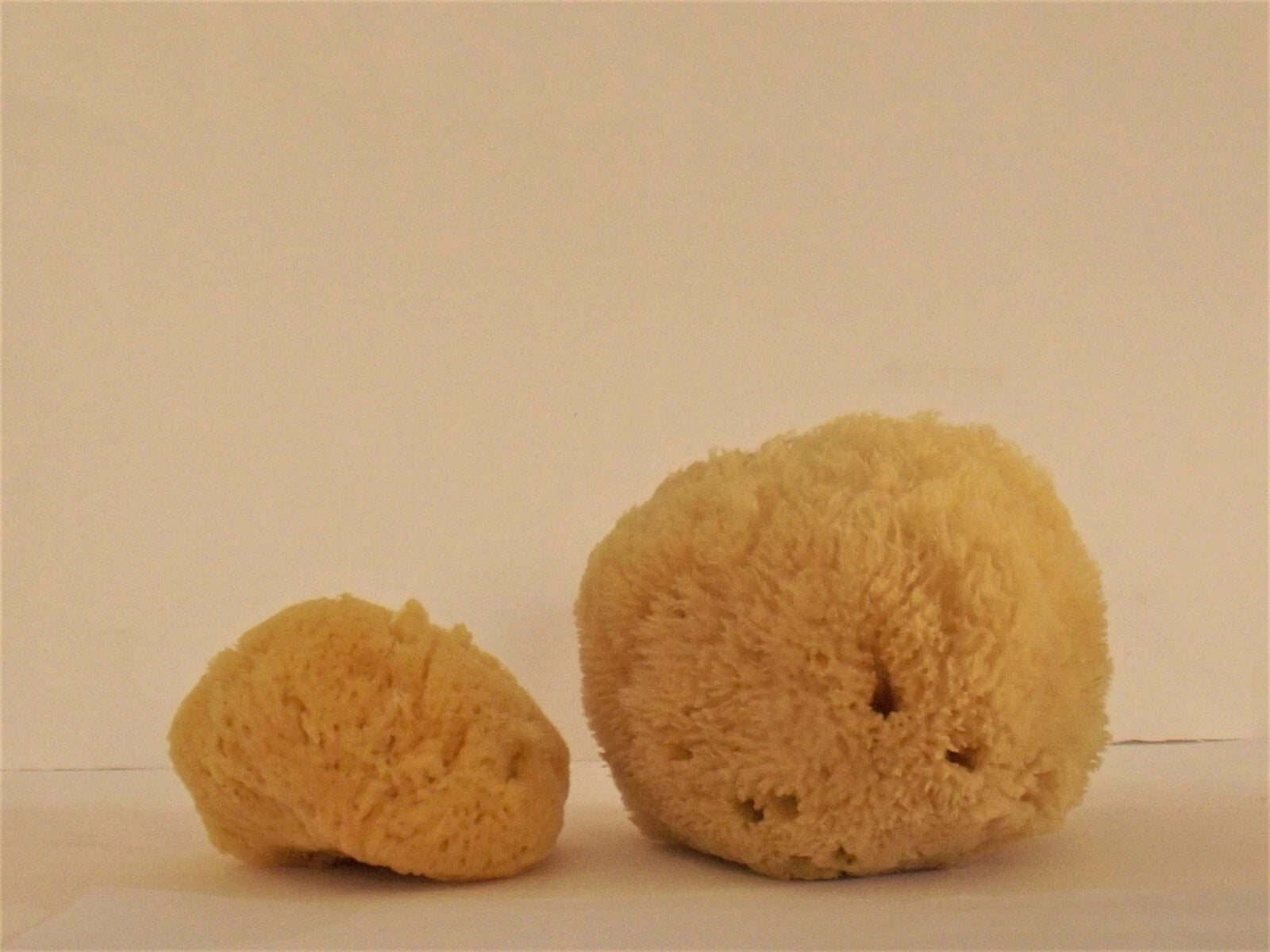 100% Natural Grass Sponge A Class from Greek Seas, Yellow Colour