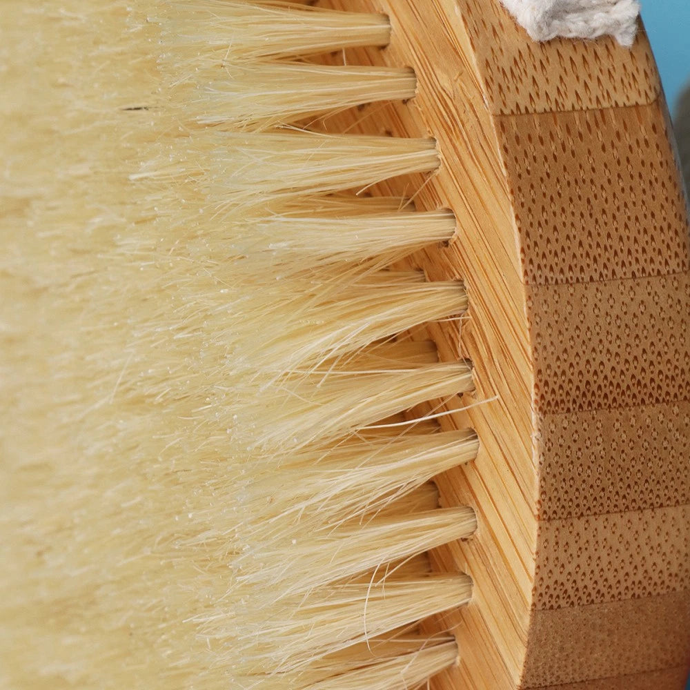 1pc Bristle Bath Brush Long Handle Bath Scrubber Hanging Body Massager SPA