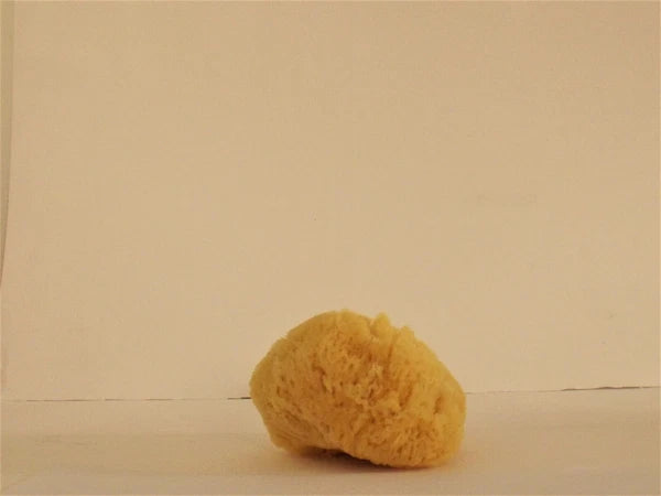 100% Natural Grass Sponge A Class from Greek Seas, Yellow Colour