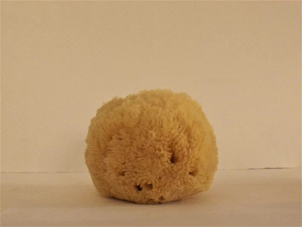 100% Natural Grass Sponge A Class from Greek Seas, Yellow Colour