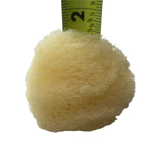 Baudelaire Silk Sea Sponge, New, Small